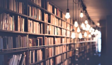shelves of books with pendant lights