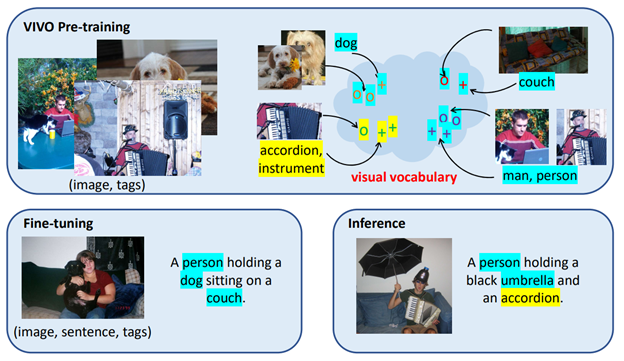 Three boxes are shown, one above and two below. Top box: VIVO Pre-training. images of a man sitting outdoors with a laptop and a dog, a dog, and a man playing an accordion and singing are labeled (image, tags). Next to this visual vocabulary is represented by two images of a dog with an arrow pointing to zeroes in a cloud. The label