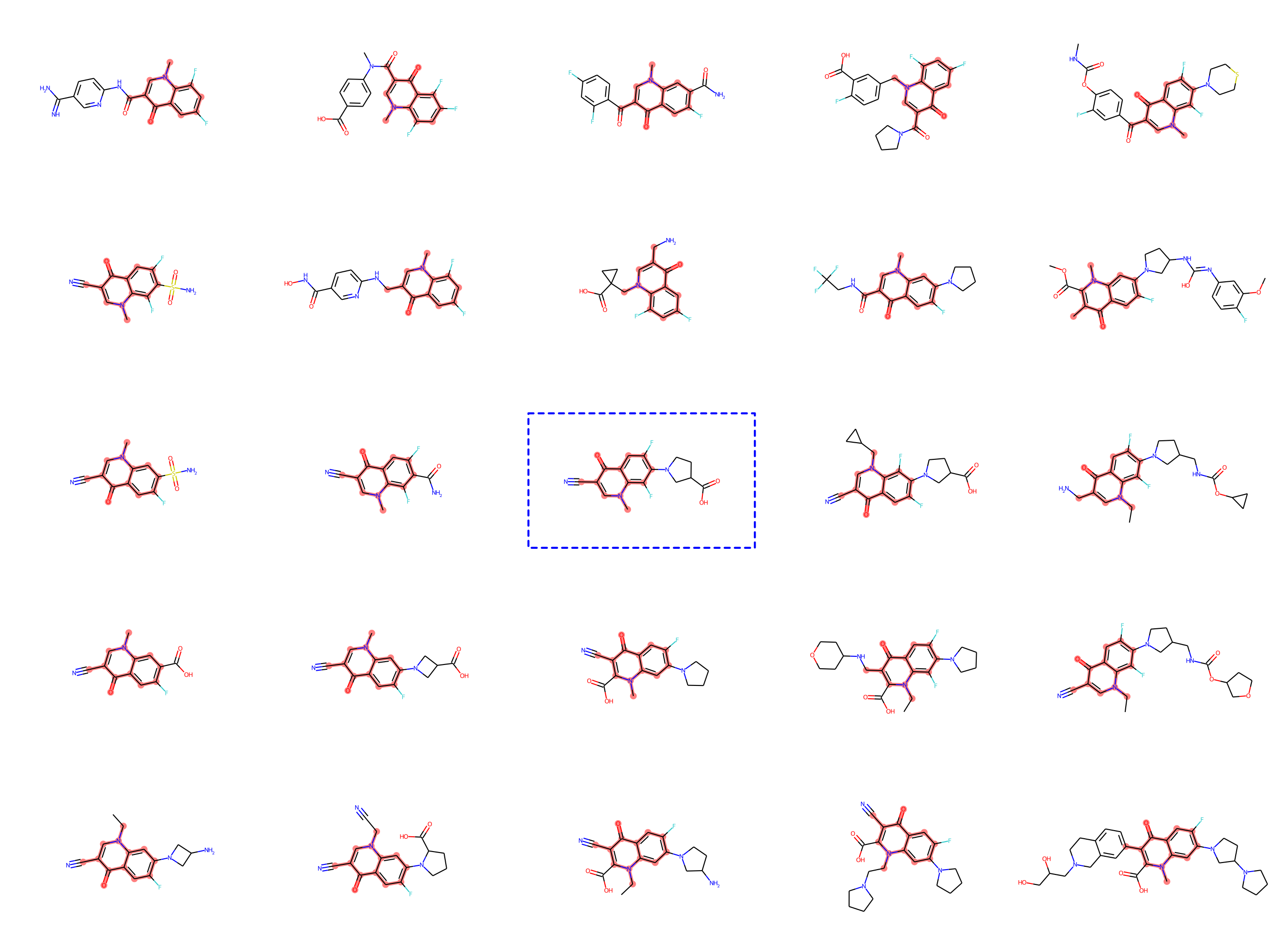 Diagram showing a 5x5 grid, with each cell depicting one molecule. The molecule in the middle has a box around it. All the molecules are different, but relatively similar, and all contain a particular substructure, which is marked in red.