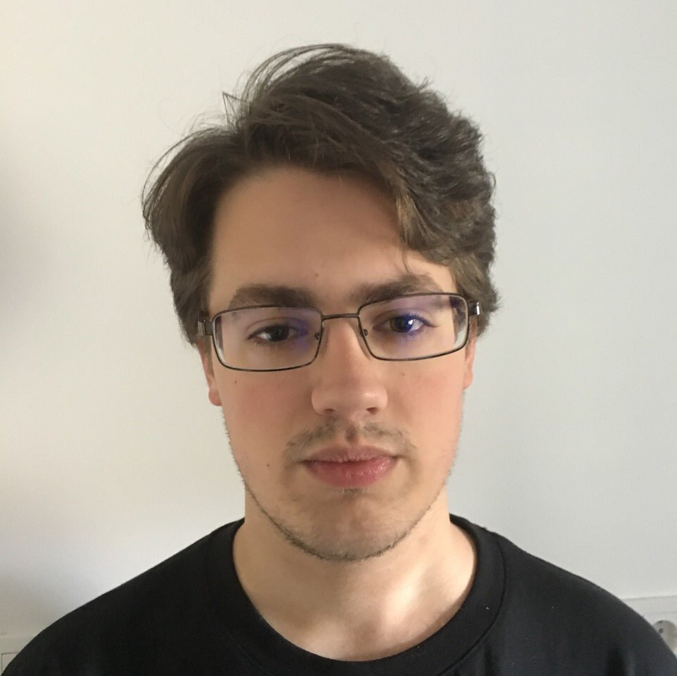Nikola Pejic의 초상화