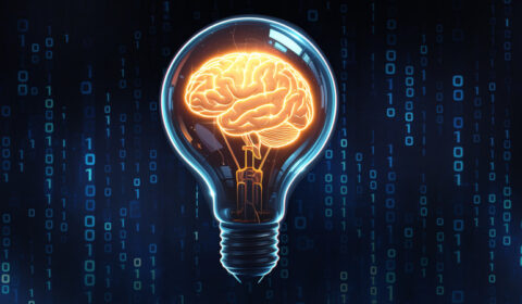 Brain