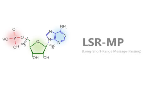 LSR-MP