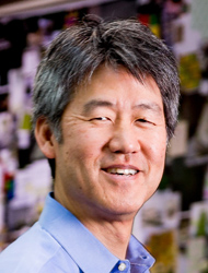 Peter Lee