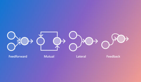 Diagram illustrating four common neural connectivity patterns in the biological neural networks: Feedforward, Mutual, Lateral, and Feedback. Each pattern consists of circles representing neurons and arrows representing synapses.